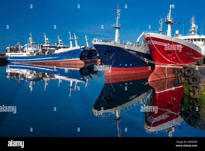 Experience the Thrills of Ice Fishing at British Live Casinos Online Experience the Thrills of Ice Fishing at British Live Casinos Online